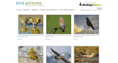 Desktop Screenshot of birdpictures.pro